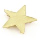 Star 5 points in golden metal with rhinestones 4 cm