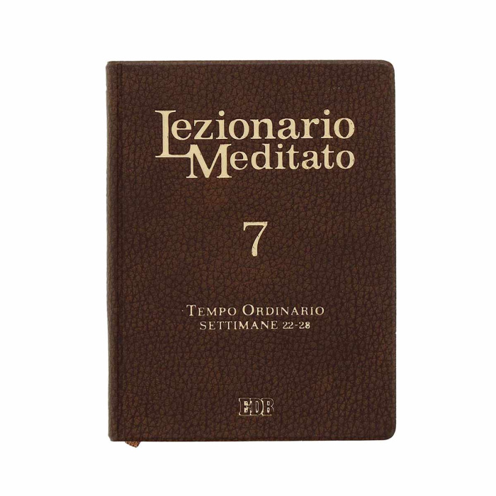 Lezionario Meditato vol 7