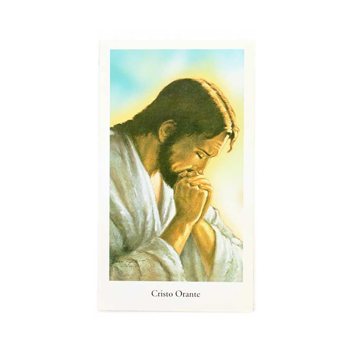 Imagen Cristo Devoto con oración 6x11 cm 100 uds.