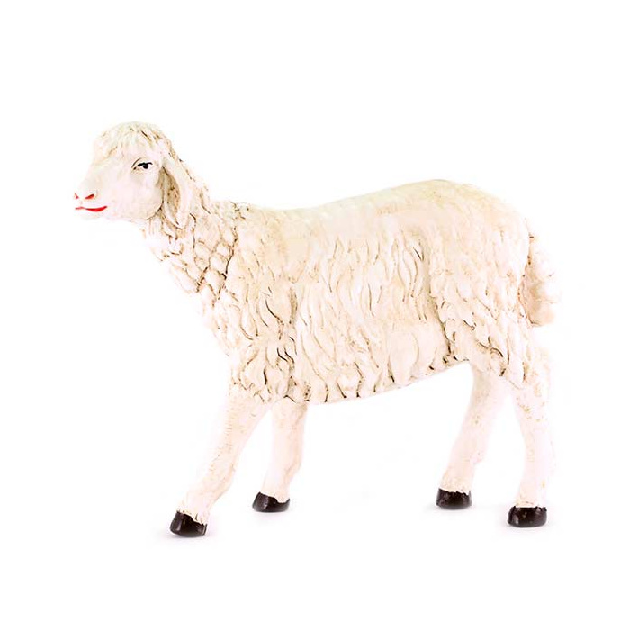 Pecora bianca polietilene pastori 50 cm