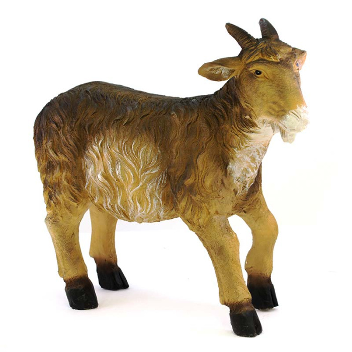 Goat with high head for crib in colored resin 68x58 cm
