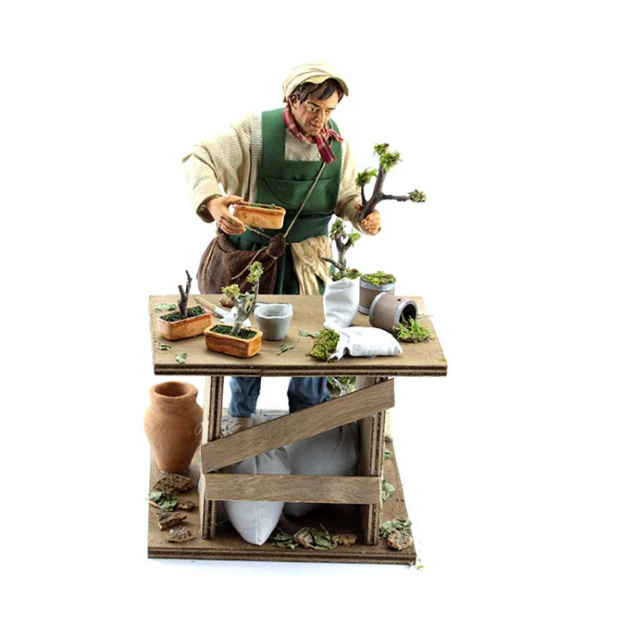 Uomo bonsai in terracotta vestita 30 cm