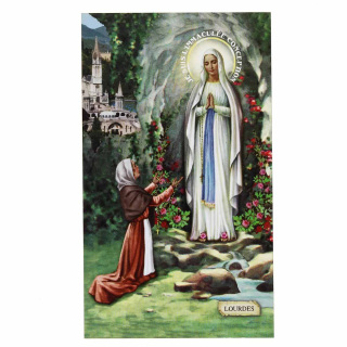Imagen Nuestra Señora de Lourdes 7x12 cm 100 uds