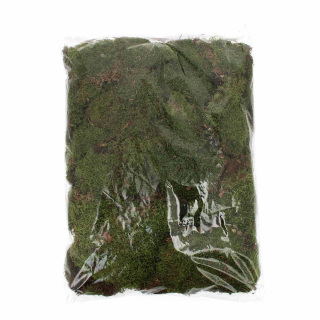 Musgo para belén pack 1 kg