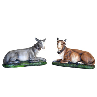 Buey y Burro en fibra de vidrio Napolitana 67 cm