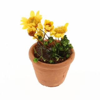 Terracotta vase with flowers for nativity scene 2.5x4 cm